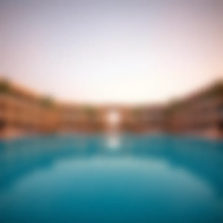 Magnificent Comprehensive Insights into Melia Desert Palm