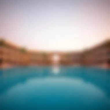 Magnificent Comprehensive Insights into Melia Desert Palm Magnificent Comprehensive Insights into Melia Desert Palm