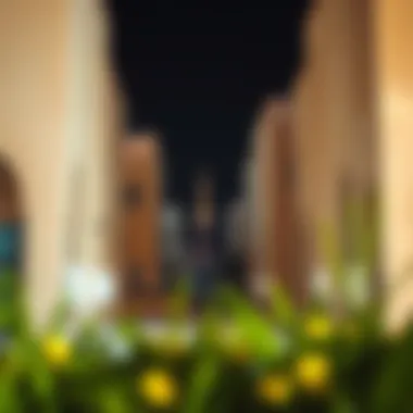 Magnificent Exploring Al Qusais: A Comprehensive Guide to Dubai's Dynamic Neighborhood