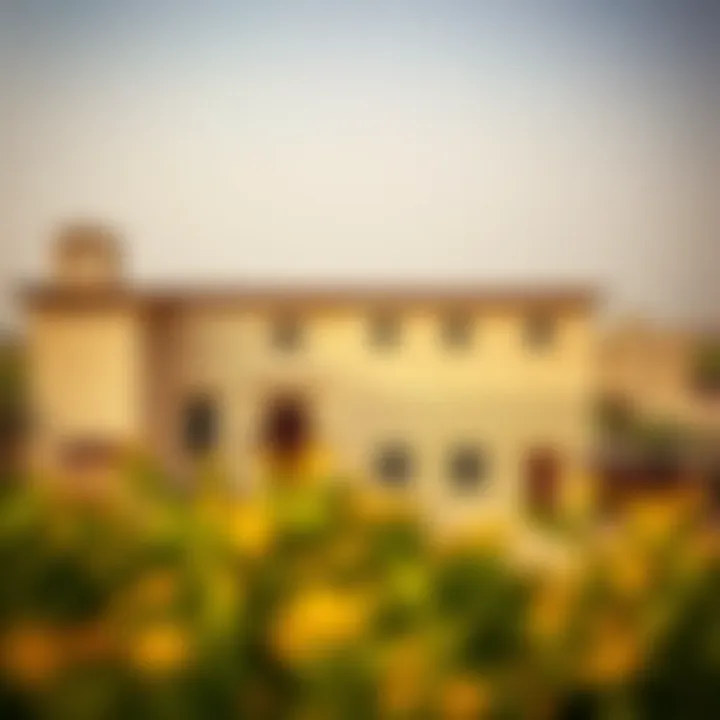 Magnificent Exploring Farmhouses in the UAE: An In-Depth Analysis