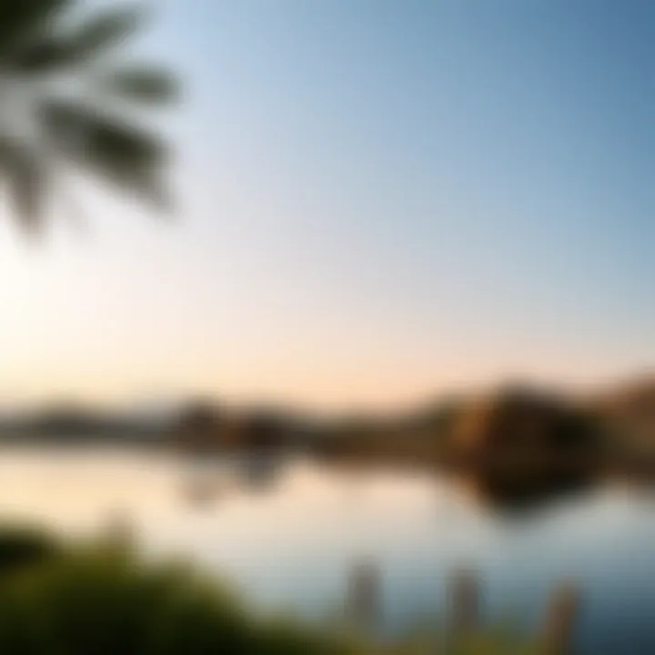 Magnificent Exploring the Allure of Qudra Love Lake: An Oasis in Dubai