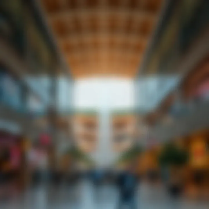 Magnificent Exploring the Avenue Mall: A Comprehensive Insight