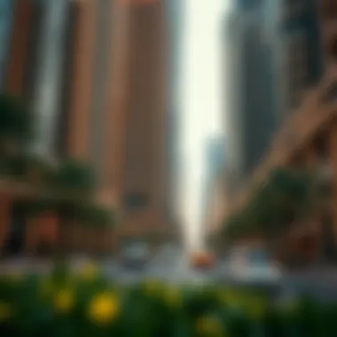 Magnificent Exploring the Boulevards of Downtown Dubai