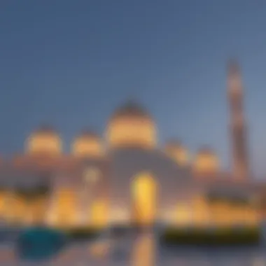 Magnificent Exploring UAE Emirates ID and Visa-Free Travel Countries Magnificent Exploring UAE Emirates ID and Visa-Free Travel Countries