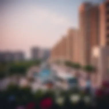 Magnificent Sheikh Zayed Housing Programme: A Comprehensive Overview Magnificent Sheikh Zayed Housing Programme: A Comprehensive Overview