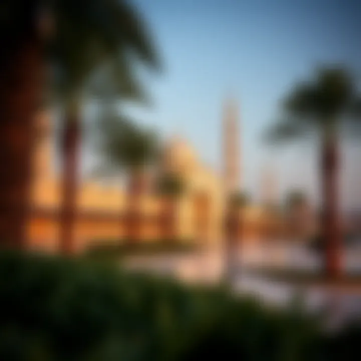 Magnificent UAE Residents Visa-Free Countries 2023: An Essential Guide