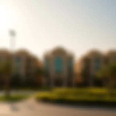 Magnificent Understanding Freehold Areas in Dubai