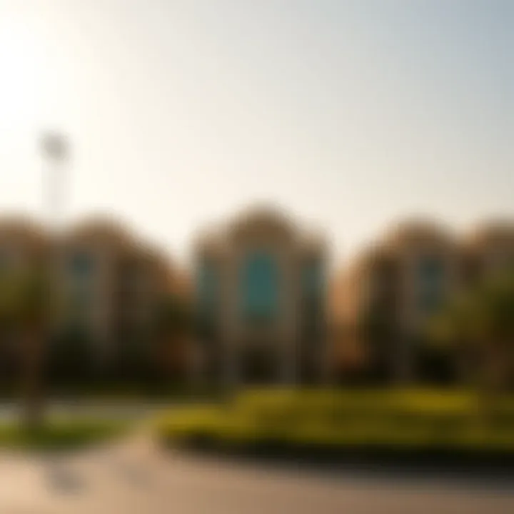 Magnificent Understanding Freehold Areas in Dubai