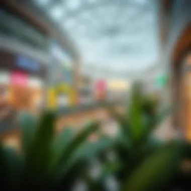 A Comprehensive Overview of Mercato Mall in Dubai: A Retail Experience Summary A Comprehensive Overview of Mercato Mall in Dubai: A Retail Experience Summary