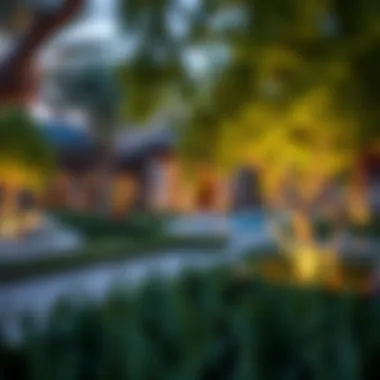 Luxurious Amenities and Green Spaces Luxurious amenities and green spaces in Al Ghadeer