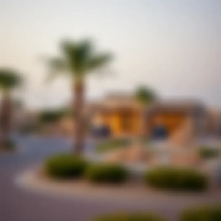 Growth potential in Arabian Ranches 2