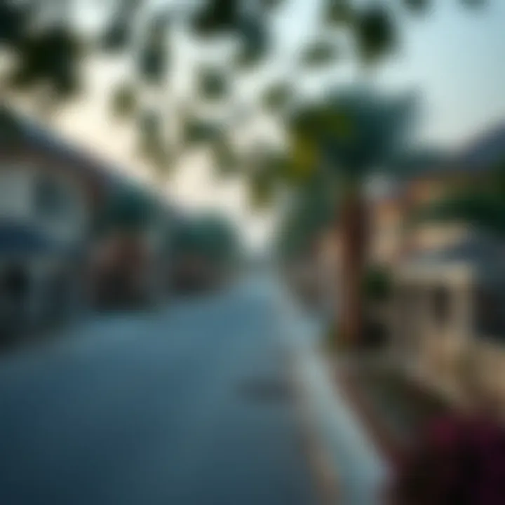 Residential Neighborhood in the UAE A serene residential neighborhood in the UAE