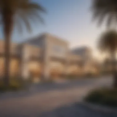 Carrefour in Arabian Ranches 2: A Comprehensive Overview Summary Carrefour in Arabian Ranches 2: A Comprehensive Overview Summary