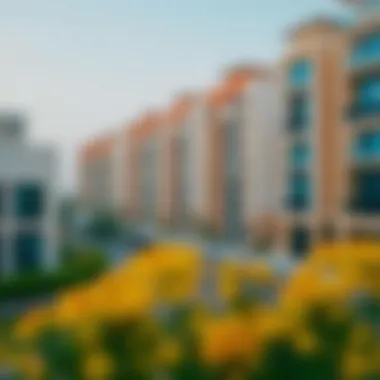 Notable Comprehensive Guide to Renting a Room in Al Barsha 1 Notable Comprehensive Guide to Renting a Room in Al Barsha 1