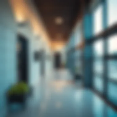 Comprehensive Guide to Renting a Room in Al Barsha 1 Summary Comprehensive Guide to Renting a Room in Al Barsha 1 Summary