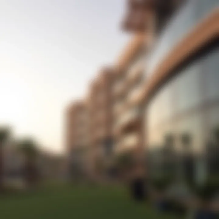 Notable Comprehensive Insights into Melia Desert Palm