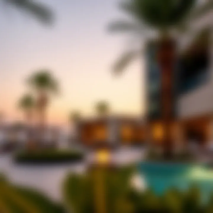 Comprehensive Insights into Melia Desert Palm Summary