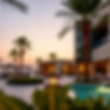 Comprehensive Insights into Melia Desert Palm Summary Comprehensive Insights into Melia Desert Palm Summary
