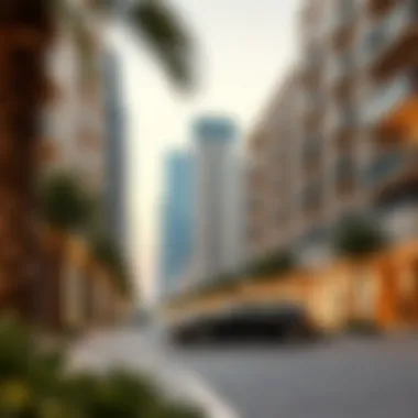 An infographic illustrating investment potential in الصفدي ذا بوينت