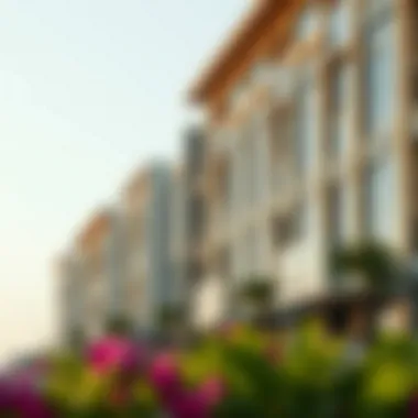 Emerging Communities in Dubai: A Comprehensive Overview Summary