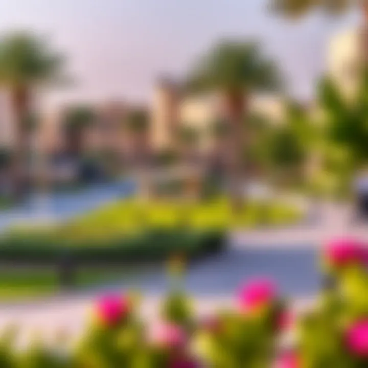 Community amenities and green spaces in Al Jaddaf