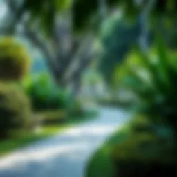 Lush greenery and pathways of Al Jazeera Park