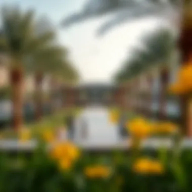 Community Park in Al Nahda 1 Community park in Al Nahda 1 featuring families enjoying outdoor activities