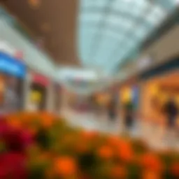 Exploring Aster Ansar Mall: A Comprehensive Insight Introduction