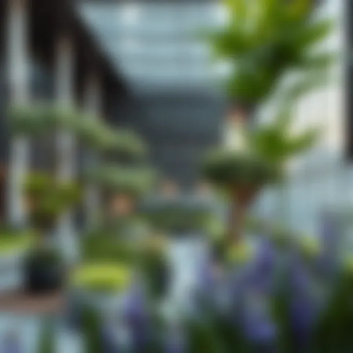 Notable Exploring Aura Gardens: A New Paradigm in Urban Green Spaces