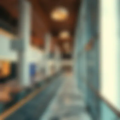 Exploring Carrefour Pavilion in Discovery Gardens: A Comprehensive Insight Introduction