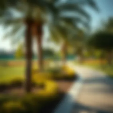 Community Park in المدينة الرياضية دبي Community park in المدينة الرياضية دبي highlighting green spaces