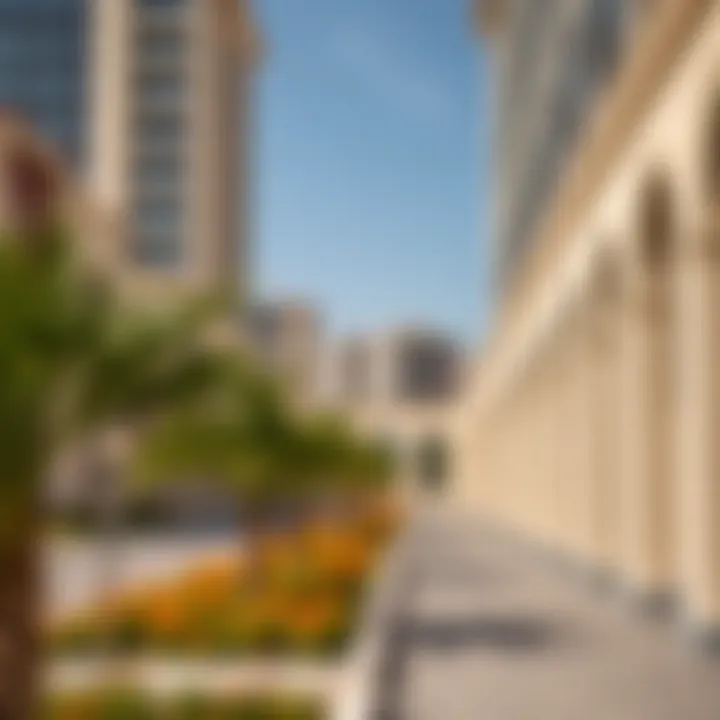 Exploring Danube Properties in Al Barsha: Insights and Trends Summary