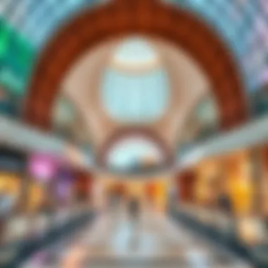 Exploring Dubai Mall: Discovering Activities and Attractions Summary