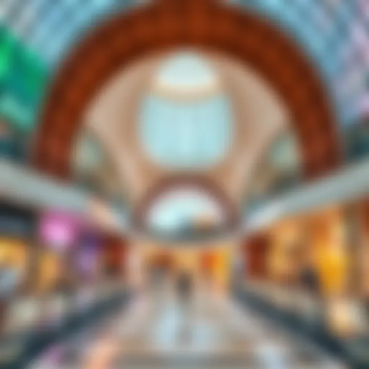 Exploring Dubai Mall: Discovering Activities and Attractions Summary