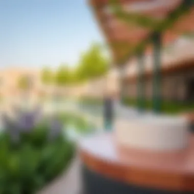 Recreational Amenities in Dubai Meadows Recreational amenities available in Dubai Meadows.