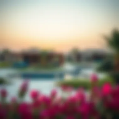 Notable Exploring Emaar Arabian Ranches 3: A Comprehensive Insight