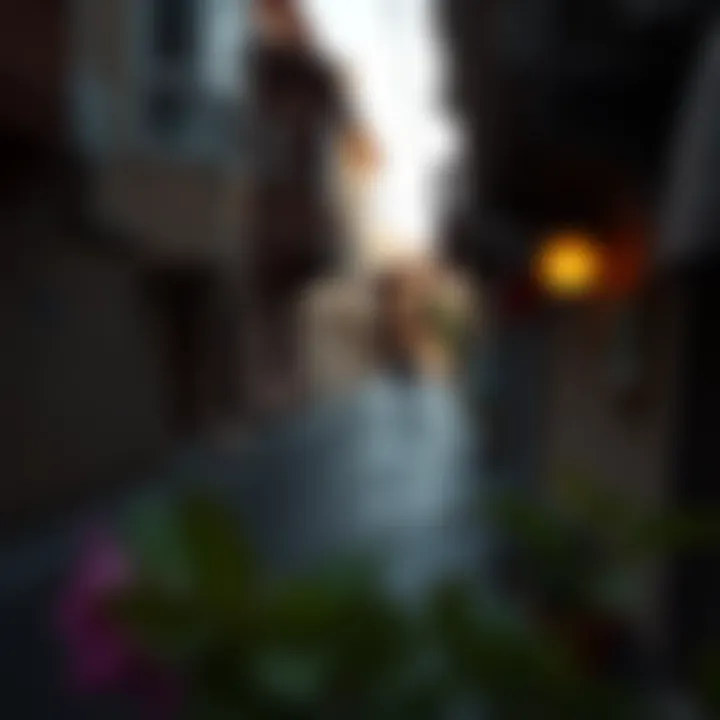 Exploring فريج العين: A Detailed Insight into the Neighborhood Introduction