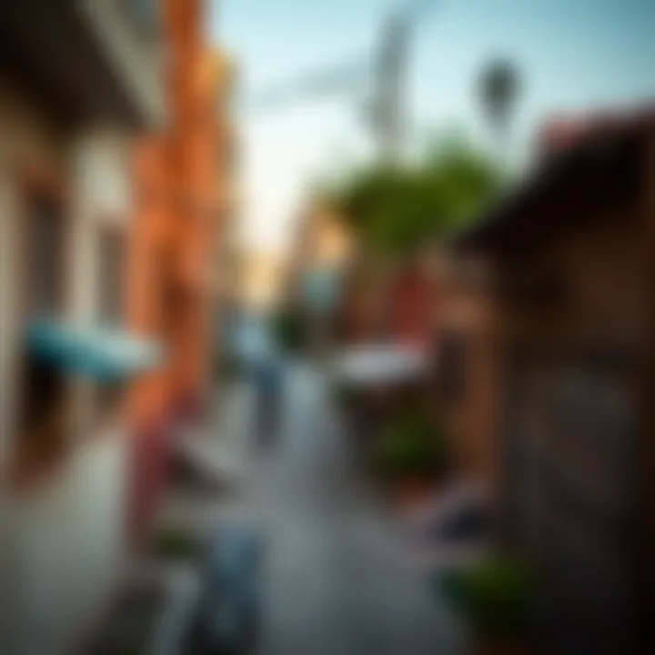 Exploring فريج العين: A Detailed Insight into the Neighborhood Summary