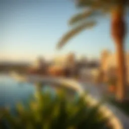 A panoramic view of Hamriya showcasing its unique architecture