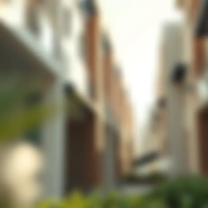 Architectural Details of Iris Village Architectural details of buildings in Iris Village