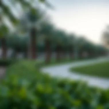 A vibrant community park in Madinat Khalifa A filled with greenery