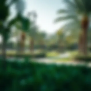 Community park in District One showing lush greenery