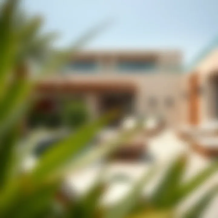 Harmonious Outdoor Living at Mr. C A serene outdoor space that reflects the harmony between modern living and nature.