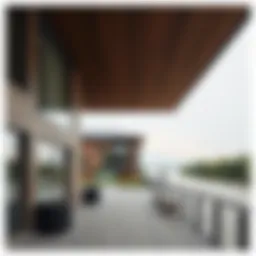 Exploring New Projects Along the Danube: An In-Depth Analysis Introduction