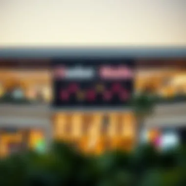 Exploring Outlet Malls in Dubai: A Comprehensive Guide Introduction
