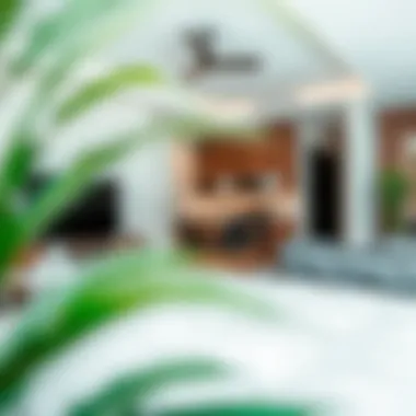 Exploring Rental Opportunities: 1 Bedroom for Rent in Discovery Gardens Summary Exploring Rental Opportunities: 1 Bedroom for Rent in Discovery Gardens Summary