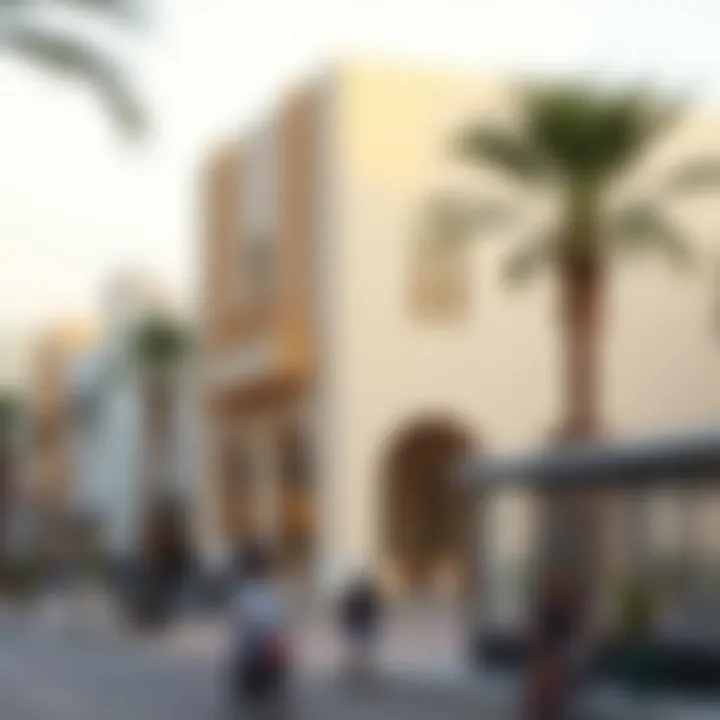 Notable Exploring روضة البطين: A Comprehensive Insight into a Vibrant Dubai Locale