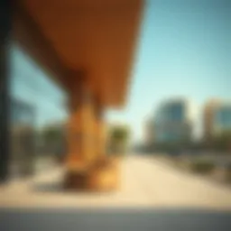 Exploring Shakhbout City: A Contemporary Suburb in Abu Dhabi Introduction