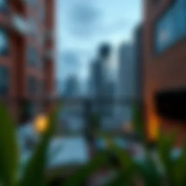 Exploring Studio Rent in International City: A Comprehensive Overview Summary