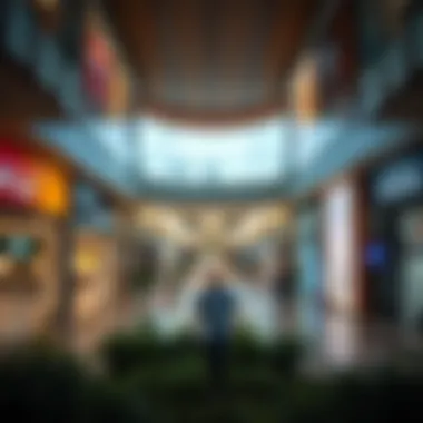 Notable Exploring the Avenue Mall: A Comprehensive Insight Notable Exploring the Avenue Mall: A Comprehensive Insight